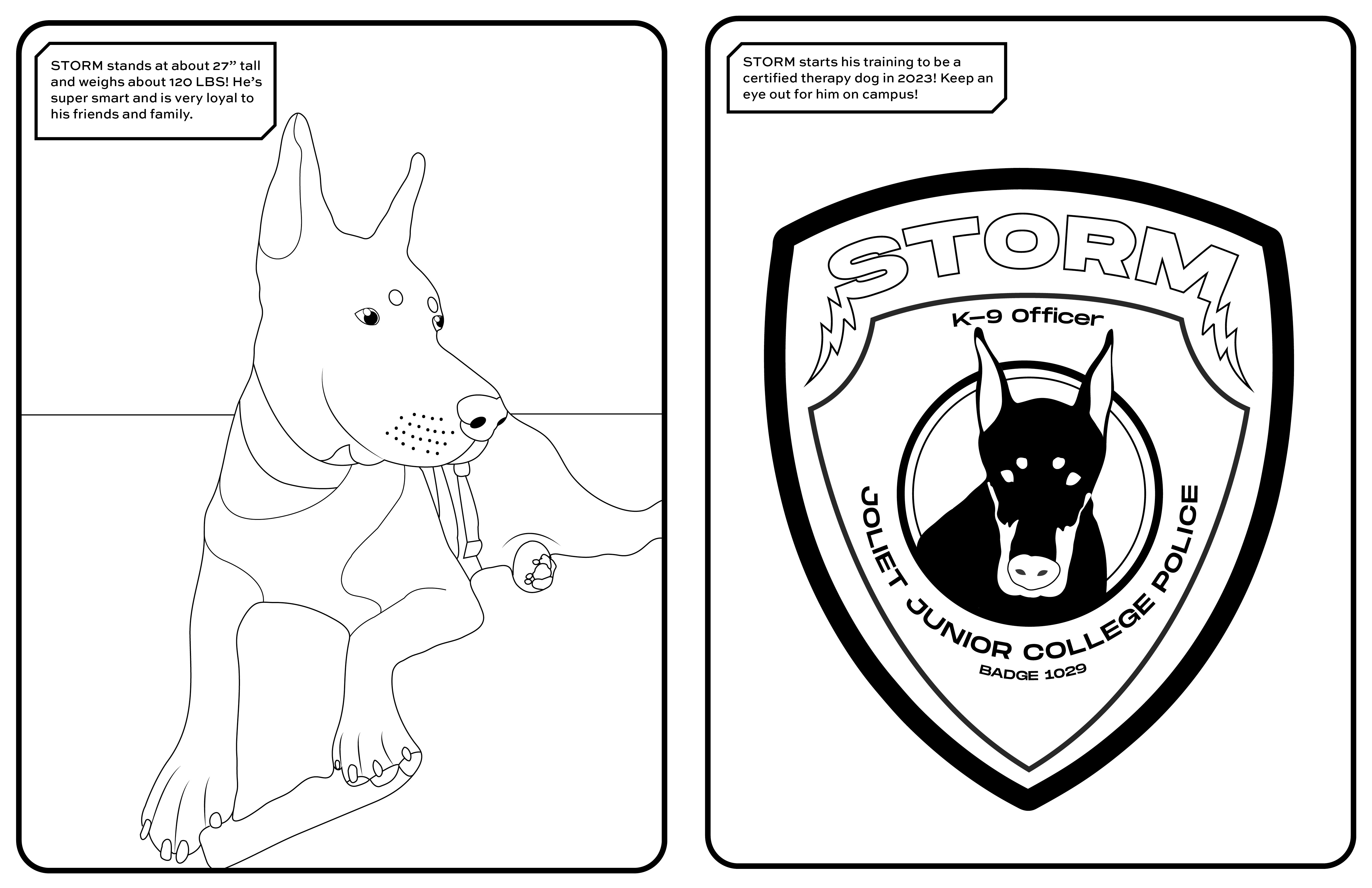 closer look at logo, pattern, color palette, and inside of store.